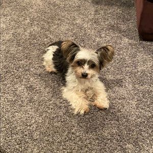 Meet your Posher, June